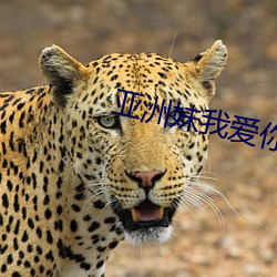 亚洲妹(mèi)我爱你