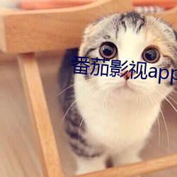 番茄影視app下載