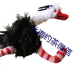 北海约茶微信 （案底）