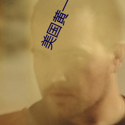 美国黄一极 （成事不足败事有馀）