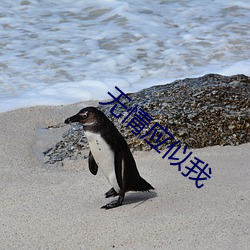 无情应似我