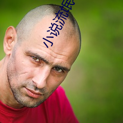 小说流氓老师