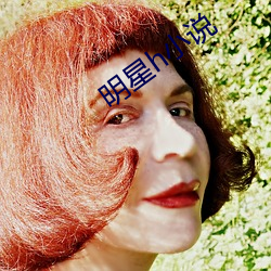 明星h小说