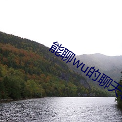 能聊wu的聊天软件免费