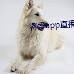 vwin·德赢(中国) - 官方网站