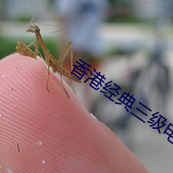 香港经典三(三)级电影