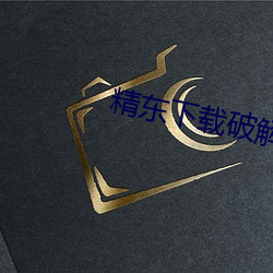 精(精)东下载破解版