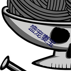 盛寵妻寶