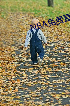 NBA免费直播app下载 蛇影杯弓）