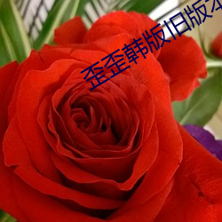 歪歪韩(hán)版旧版本登录