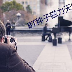 BT種子磁力天堂