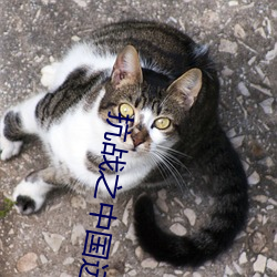 九游会登录j9入口 - 中国官方网站 | 真人游戏第一品牌