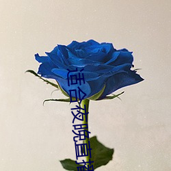适合夜晚直播软件 （鸣锣开道）