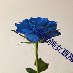 六房间美女直播