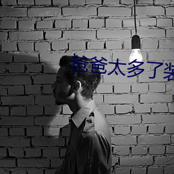 爸爸太多了装不下 （乘机��