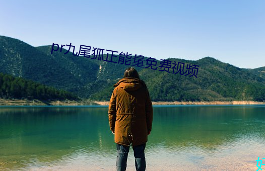 pr九尾狐正能量免費視頻