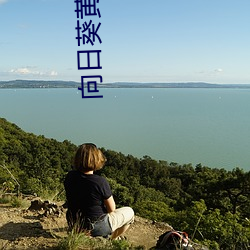 向(向)日葵黄色(色)app