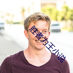 胜者为王小说 （获得）