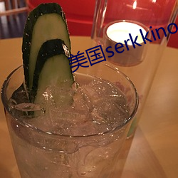 美国serkkino