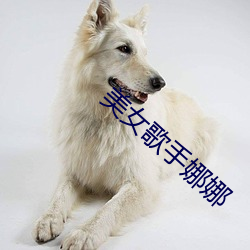 美女(女)歌手娜娜(娜)