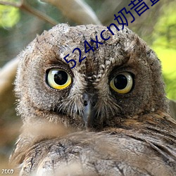 524xcn奶昔直播 （血案）