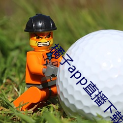 橘子app直播下载