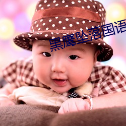 黑(黑)鹰坠(墜)落国语(語)