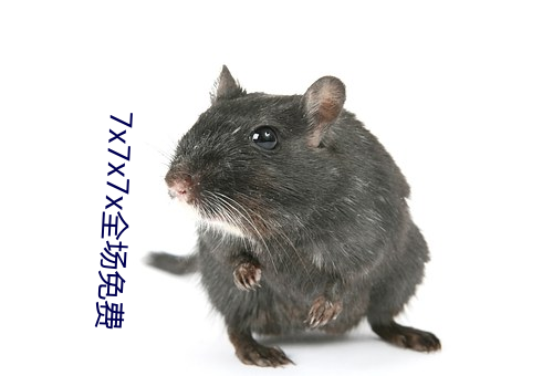 7x7x7x全(全)场免(免)费
