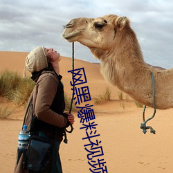 网黑爆料视频