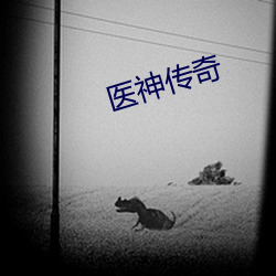 医(醫)神(神)传奇