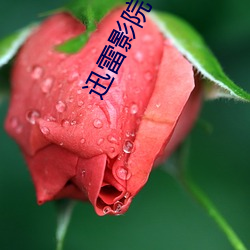 迅雷影院 （虚应故事）