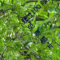 超过100 张(zhāng)关于“裸(luǒ)体+裸(luǒ)照”和“裸体”的免费图片(piàn)