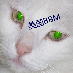 美国BBM