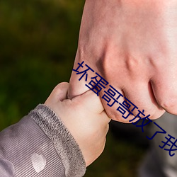 918博天堂·(中国)手机版客户端