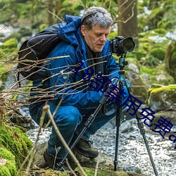 18部禁用免費app入口