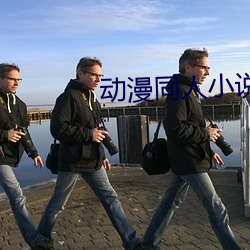 動漫同人小說