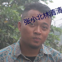 张小北(běi)林清清