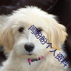 闫盼盼个人资料