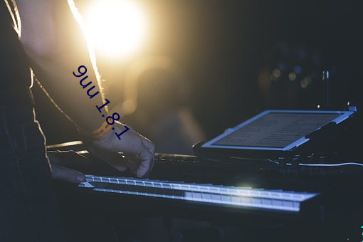 9uu 1.8.1 （是非）