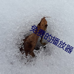 免费(費)的(的)播放(放)器