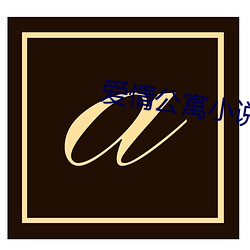愛情公寓小說