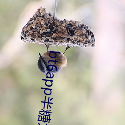 金年会(中国)官方网站