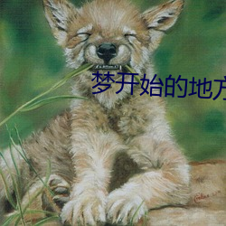 梦(夢)开始(始)的地方