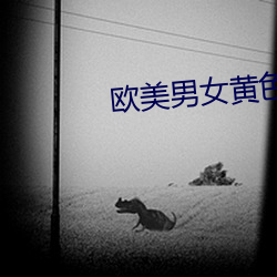 欧(ōu)美男(nán)女(nǚ)黄色(sè)视(shì)频软件