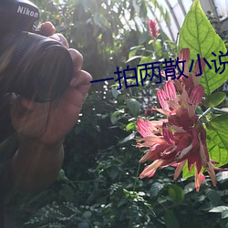 suncitygroup太阳集团--官方网站