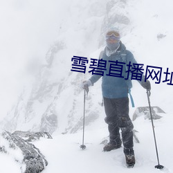 雪碧直播網址