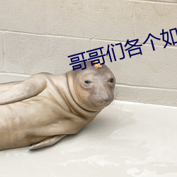 哥哥们各个(個)如狼(狼)似虎(虎)