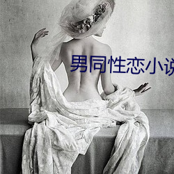 男同性恋小说 奔走之友）