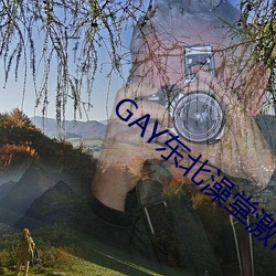 GAY东(dōng)北澡堂激(jī)情(qíng)2023