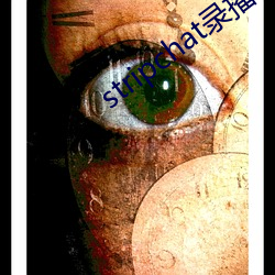 stripchat录播网(wǎng)站